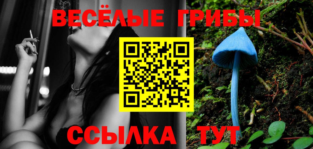 Заводоуковск  Псилоцибиновые грибы мицелий  Вход с VPN  Псилоцибиновые грибы Psilocybine cubensis 